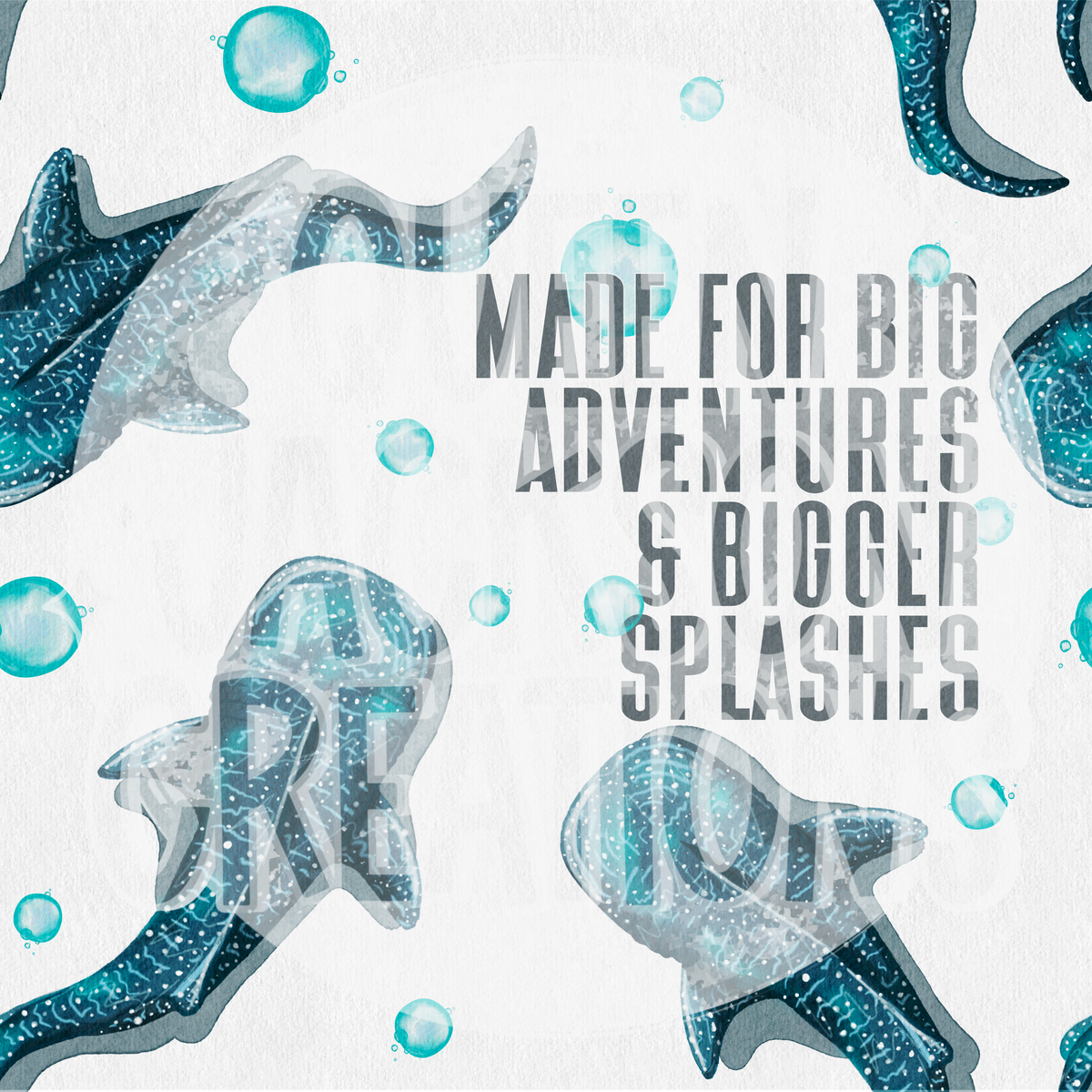 Big Adventures White